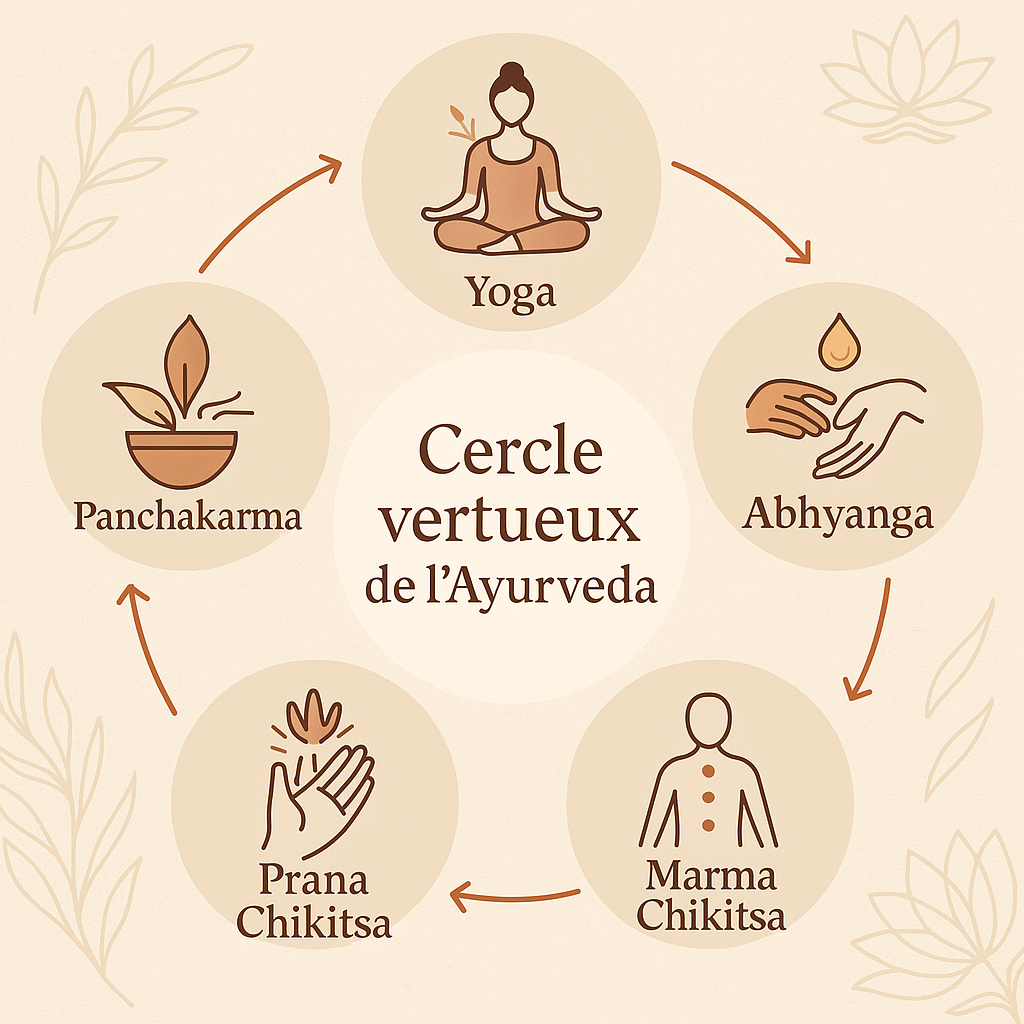 Le Cercle Vertueux de l’Ayurveda